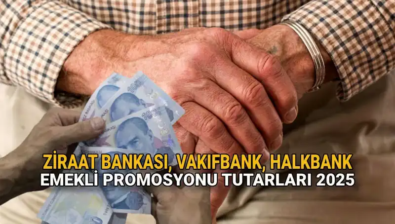 2025'te Emeklilere Sunulan Kamu Bankası Promosyonları: Ziraat, Vakıfbank ve Halkbank