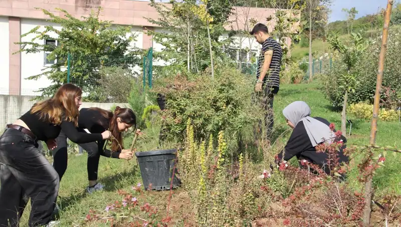 Düzce'nin Yetenekli Girişimcisi: Hayalini Gerçeğe Dönüştürdü