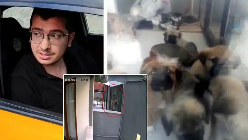 Hayvanseverleri Şoke Eden Skandal: Veteriner 12 Yavru Köpeği Katletti