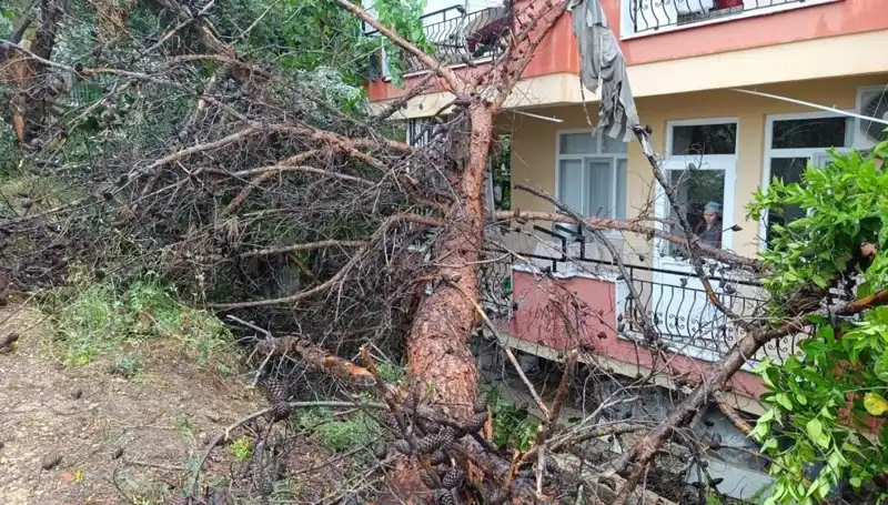 Bir Yağmur Sonrası: Bina Çöktü, Şanslılar Kurtuldu