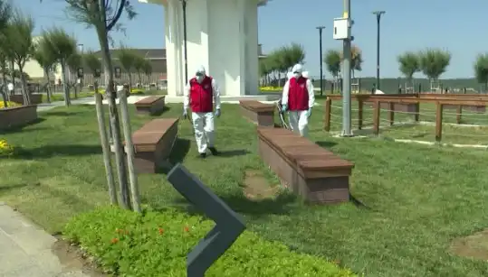 Kene Görülme Sıklığı Arttı: Halka Açık Alanlarda İlaçlama Uygulaması Başladı