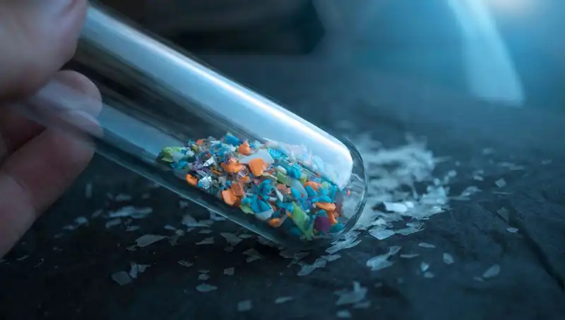 Mikroplastikler İnsan Beyninde Görüldü: Sağlığımıza Etkileri Nelerdir?