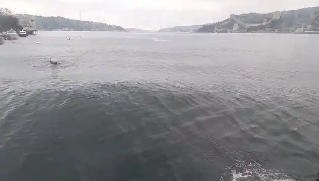 İstanbul Boğazı'nda Yükselen Dalgalar, Hayati Etkiler Yaratıyor