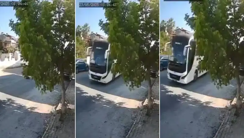 Yolda Yatan Köpeğe Çarparak Giden Sürücüde Şok Edici Tepkiler