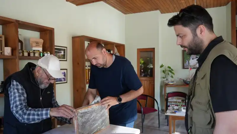 Şifa ve Tehlike: Doktor Tavsiyeleriyle Bilmeniz Gerekenler