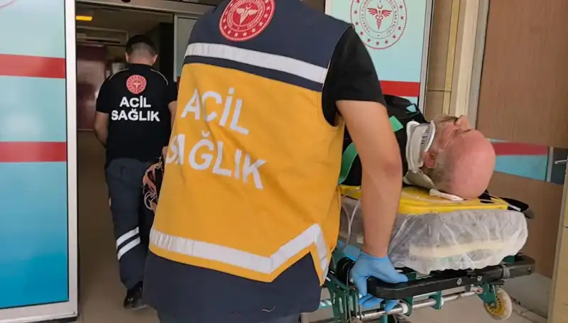 Kereste İşçisinin Hayatını Kaybetmesine Neden Olan Korkunç Kaza
