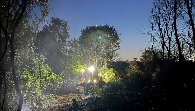 Edirne'deki Orman Yangını Sonrası Ekipler Seferber Oldu