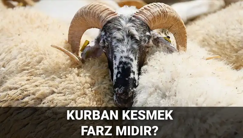 Diyanet'e Göre Kurban Kesmek Farz mı? Tüm Şartları Öğrenin!