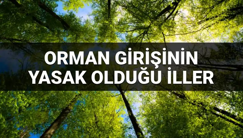 2025 Yılında Ormana Girişi Yasaklanan İller Nereleri?