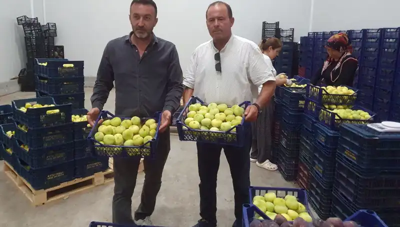 Mersinli Çiftçinin Yüzü Güldü: İhraç Fırsatları Artıyor