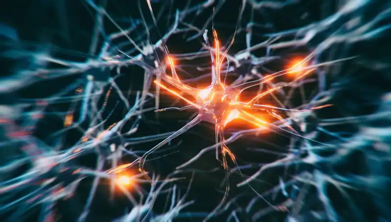 Alzheimer Vakalarındaki Artışın Altında Yatan Nedenler Nelerdir?