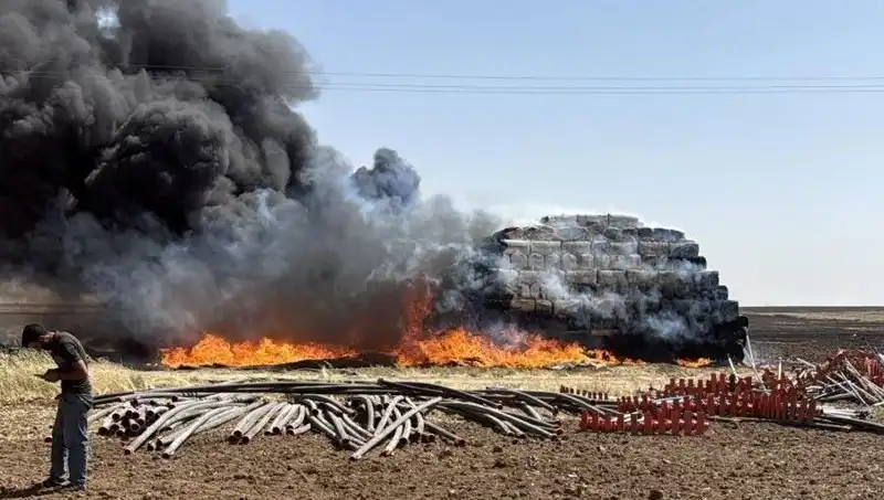 Mardin'de Anız Yangını: Tarım Alanlarında Büyük Zarar Var!