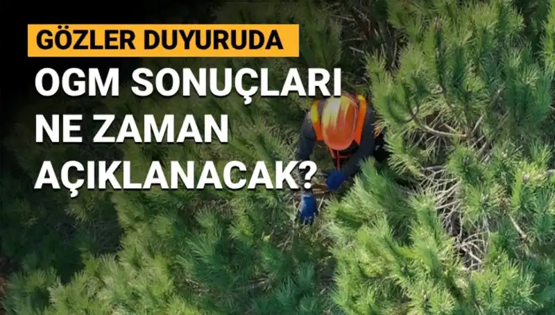 OGM Personel Alımı Sonuçları: 3.477 Sözleşmeli Pozisyon İçin Tarih Belli Oldu!