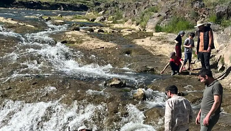İnci Kefalinin Göçü: Doğanın En Büyüleyici Gösterisiyle Tanışın