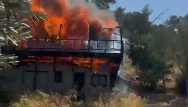 Bodrum'da Heyecan Yaratan Yangın: Ekipler Seferber Oldu!